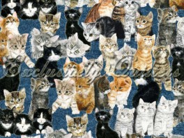 CountingKittensKillingerBl-20