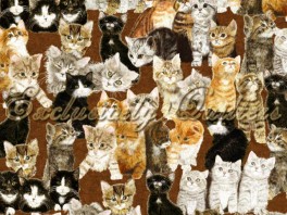 CountingKittensKillingerBrun-20