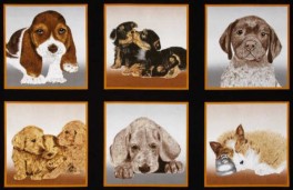 PuppyloveBilleder-20