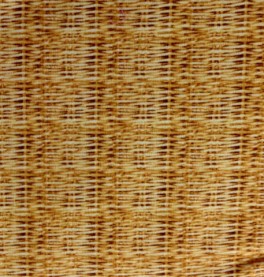 PuppienKittensKurveflet-20