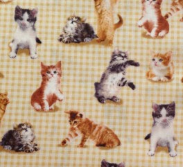 PuppienKittenKillinger-20