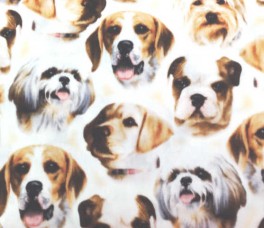 PuppienKittenHvalpeansigterNEDSAT80prmeter-20