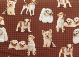 PuppienKittenHvalpeNEDSAT80prmeter-20