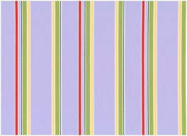 SusybeeBridsStriber-20