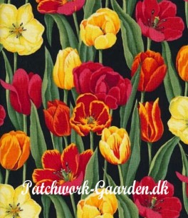 FlowerheadsTulipaner-20