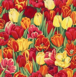 TulipsTulipaner-20