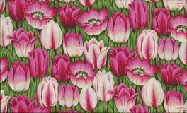 EmmasFlowersLyserdetulipaner-20