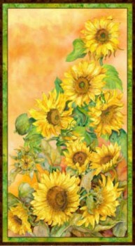 SliceofSunshinePanel-20