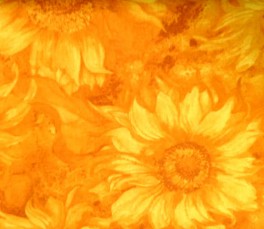 SliceofSunshineOrange-20