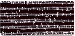 SevenberriesPrintNoder-20