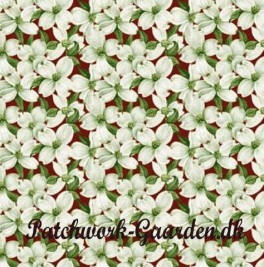 DogwoodLaneRdeBlomstersm-20