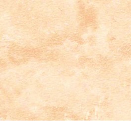 NorthcottToscanaBeige-20