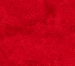 NorthcottToscanaRdII-20