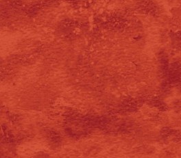 NorthcottToscanaMrkBrndtOrange-20