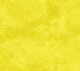 NorthcottToscanaGul-20