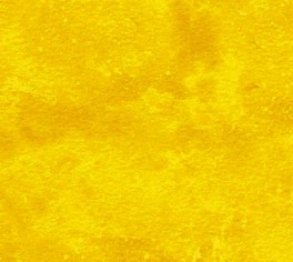 NorthcottToscanaMrkGul-20