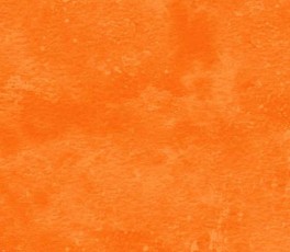 NorthcottToscanaOrange-20