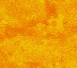 NorthcottToscanaOrange-20