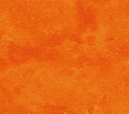 NorthcottToscanaTangerineTango-20