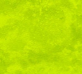 NorthcottToscanaForrsgrn-20