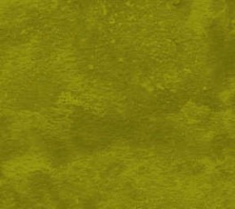 NorthcottToscanaPalm-20