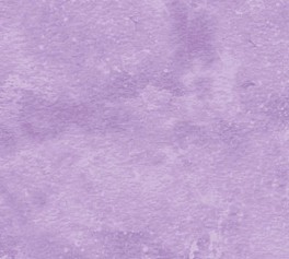 NorthcottToscanaLillaA-20