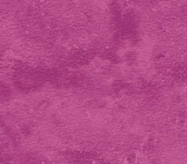 NorthcottToscanaLillaV-20