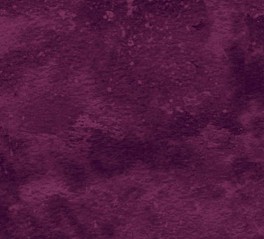 NorthcottToscanaLillaVI-20