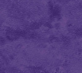 NorthcottToscanaLillaC-20