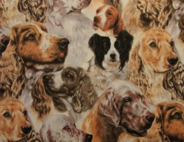 NEDSATBestofShowPackedSpaniels-20