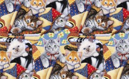 KittensAlloverKatteitpperne-20