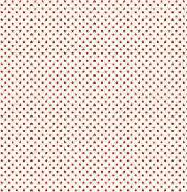 ScandiChristmasSmrdestjerner-20