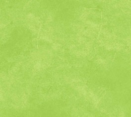 SuedeMidTonesGrnI-20