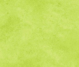 SuedeMidTonesGrnII-20