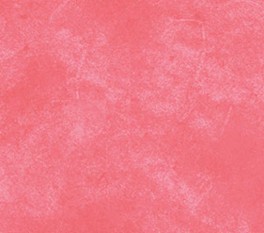 SuedeBrightLyserd-20