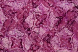 TD1813Lillamnster-20