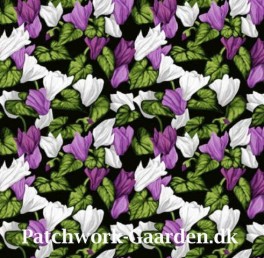 MistyMeadowLillaAlpeviol-20