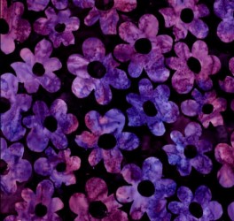 ArtisanDaisysGarden3PetuniaBlomster-20