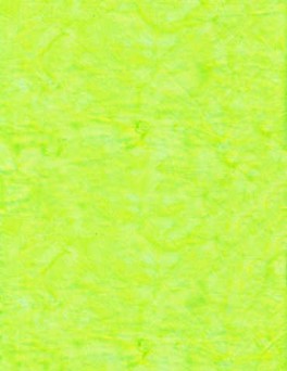 Anthology1423Neonlysegrn-20