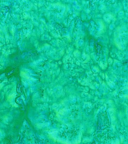 AnthologyBeColorfulBC21qxDragonfly-20