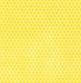 FarmChickenYellow-20