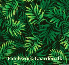 IslandsBreezePalmLeaves-20