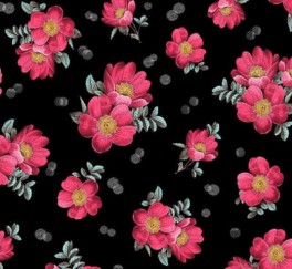 BelleDeJourSortrd-20