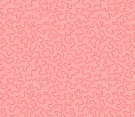 BearEssentials3665P-20