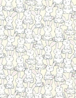 BabiesinFarmlandKaninunger-20