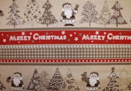 NicoleMerryChristmas-20