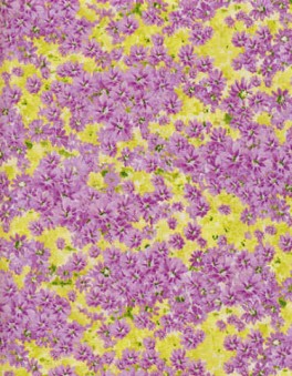 ButterflyMeadowLillaBlomster-20