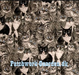 catsthewaywelikeit-20