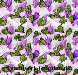 MistyMeadowAlpevioler-20