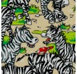 Zany Zoo : zebra